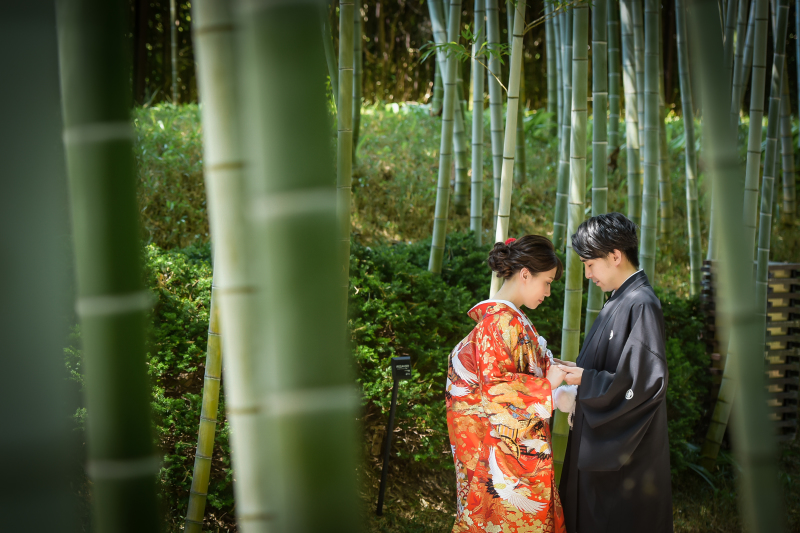 竹の隙間から♥