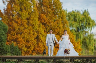 紅葉で犬ちゃんと撮影