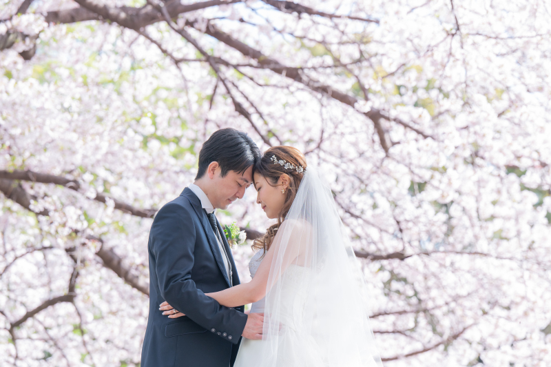 桜の中洋装で…♡