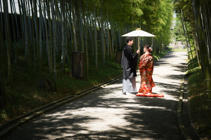 光の道が神秘的…！