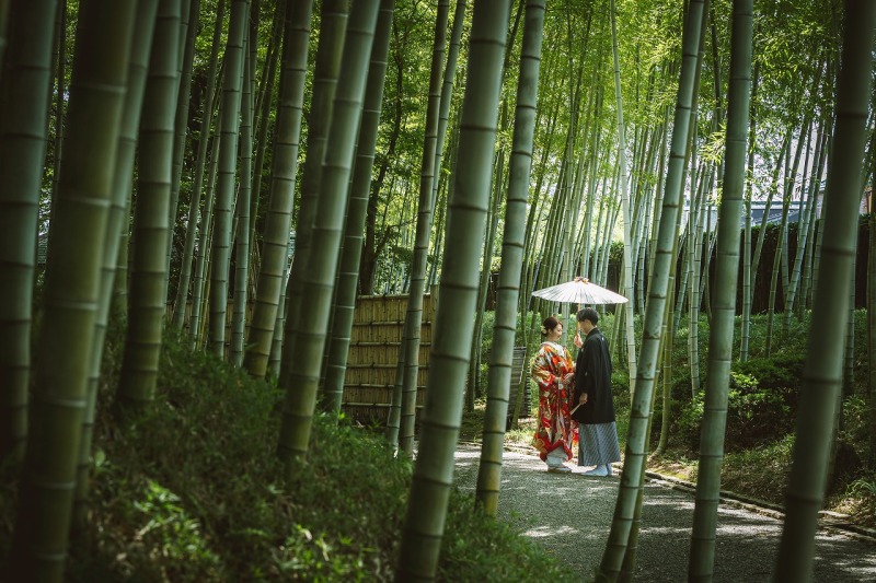 竹林
