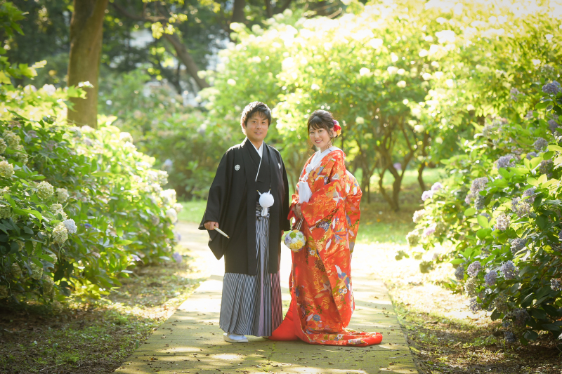 紫陽花に囲まれて✽