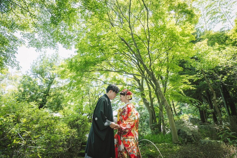 緑も沢山