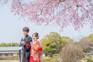 花田苑　4月の桜の様子