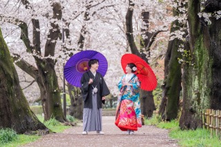 大宮第二公園　桜