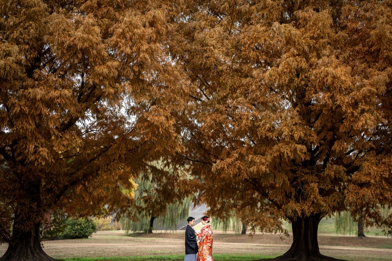紅葉満開