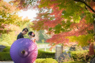 紅葉の時期真っ最中°˖✧˖°