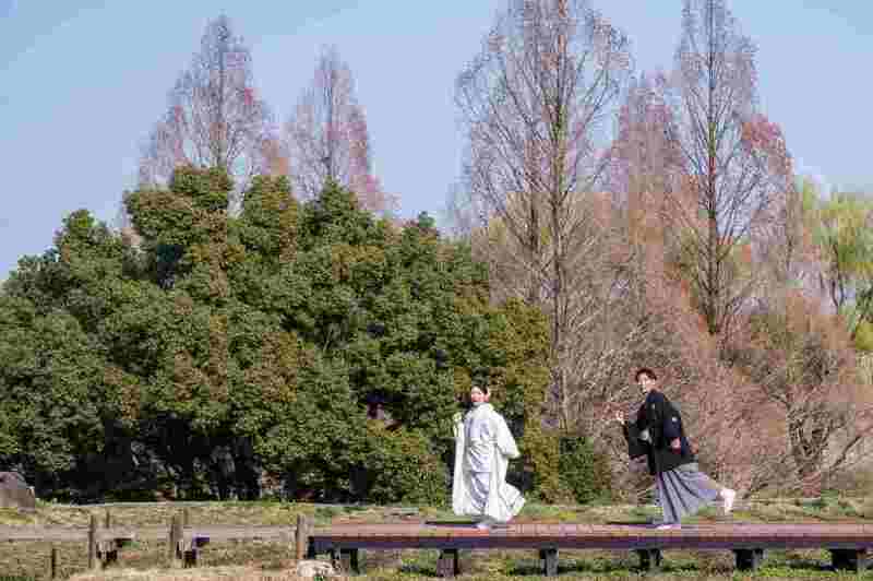 追いかけている様な、、