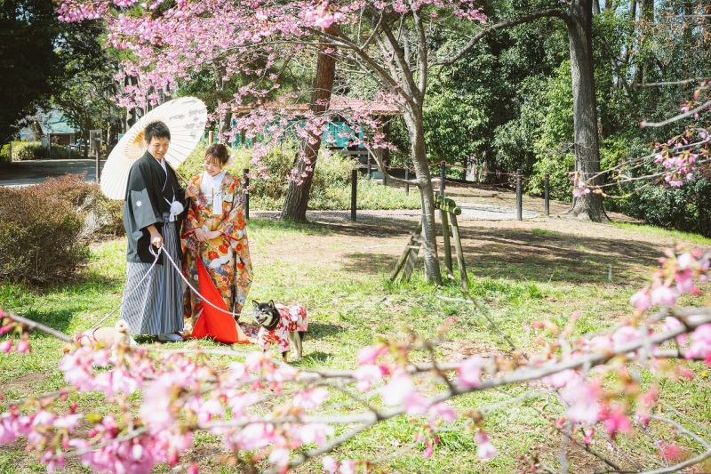 ワンちゃんとの撮影
