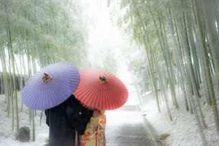 雪の花田苑！☆彡