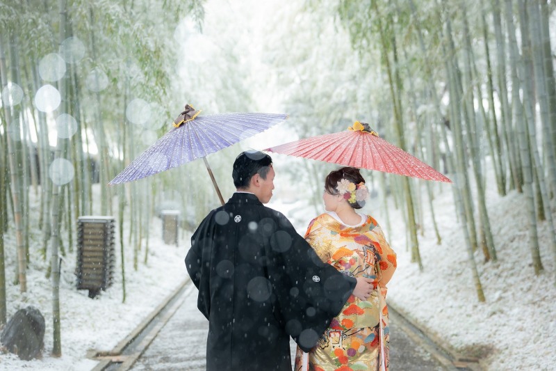 輝く雪の結晶