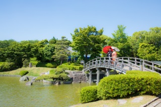 春の新緑の季節♪