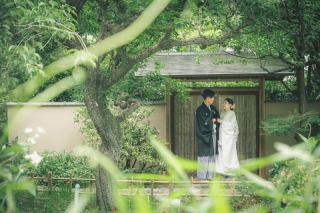 大宮第二公園≪新緑≫