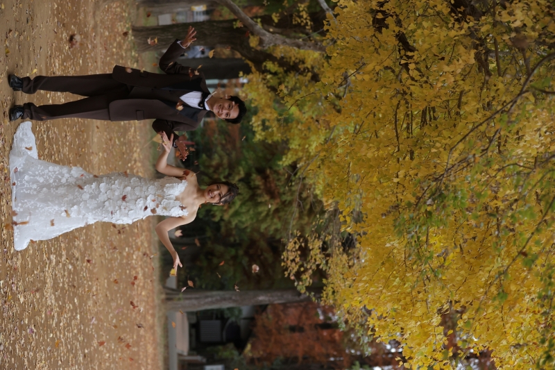 葉のコンフェッティ