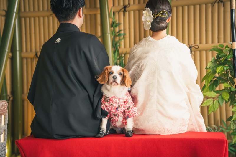スタジオでも撮影出来ます!!