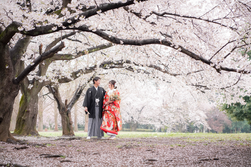 桜と桜が有名な市民の森等お勧めロケーション場所多数