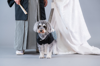 華雅苑　さいたま店