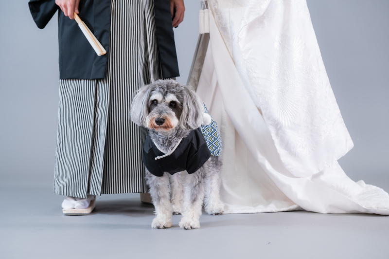 華雅苑 さいたま店_ペットと一緒に撮影できる