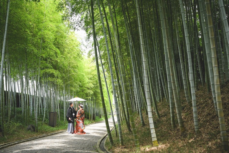 花田苑人気の竹林(^^)