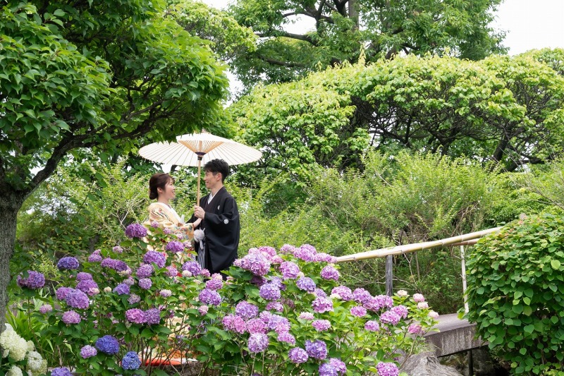 夏は紫陽花や深緑の季節!❀