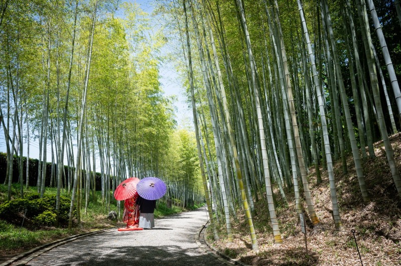 華雅苑 さいたま店_庭園で撮影できる