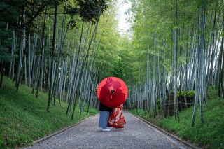 シルエット撮影