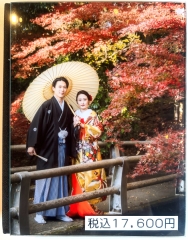 アクリルアルバム(S)