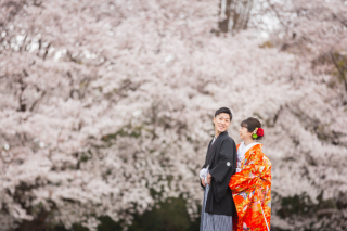 華雅苑　さいたま店_PICKUP!　桜シーズン