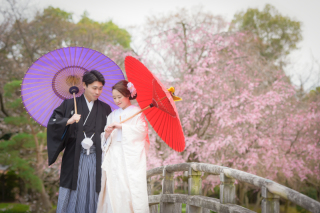 華雅苑　さいたま店_PICKUP!　桜シーズン