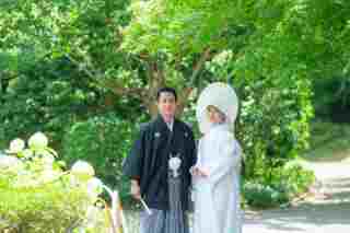 華雅苑　さいたま店_Pickup！新緑シーズン！