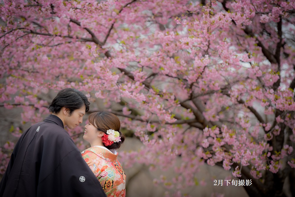 20以上ある撮影シーン