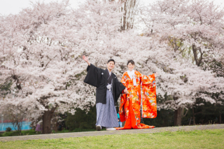 華雅苑　さいたま店_PICKUP!　桜シーズン