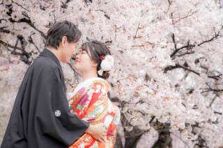 華雅苑　さいたま店_PICKUP!　桜シーズン