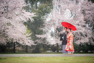 華雅苑　さいたま店_PICKUP!　桜シーズン