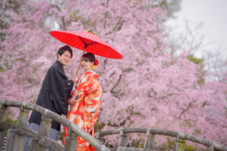 華雅苑　さいたま店_PICKUP!　桜シーズン