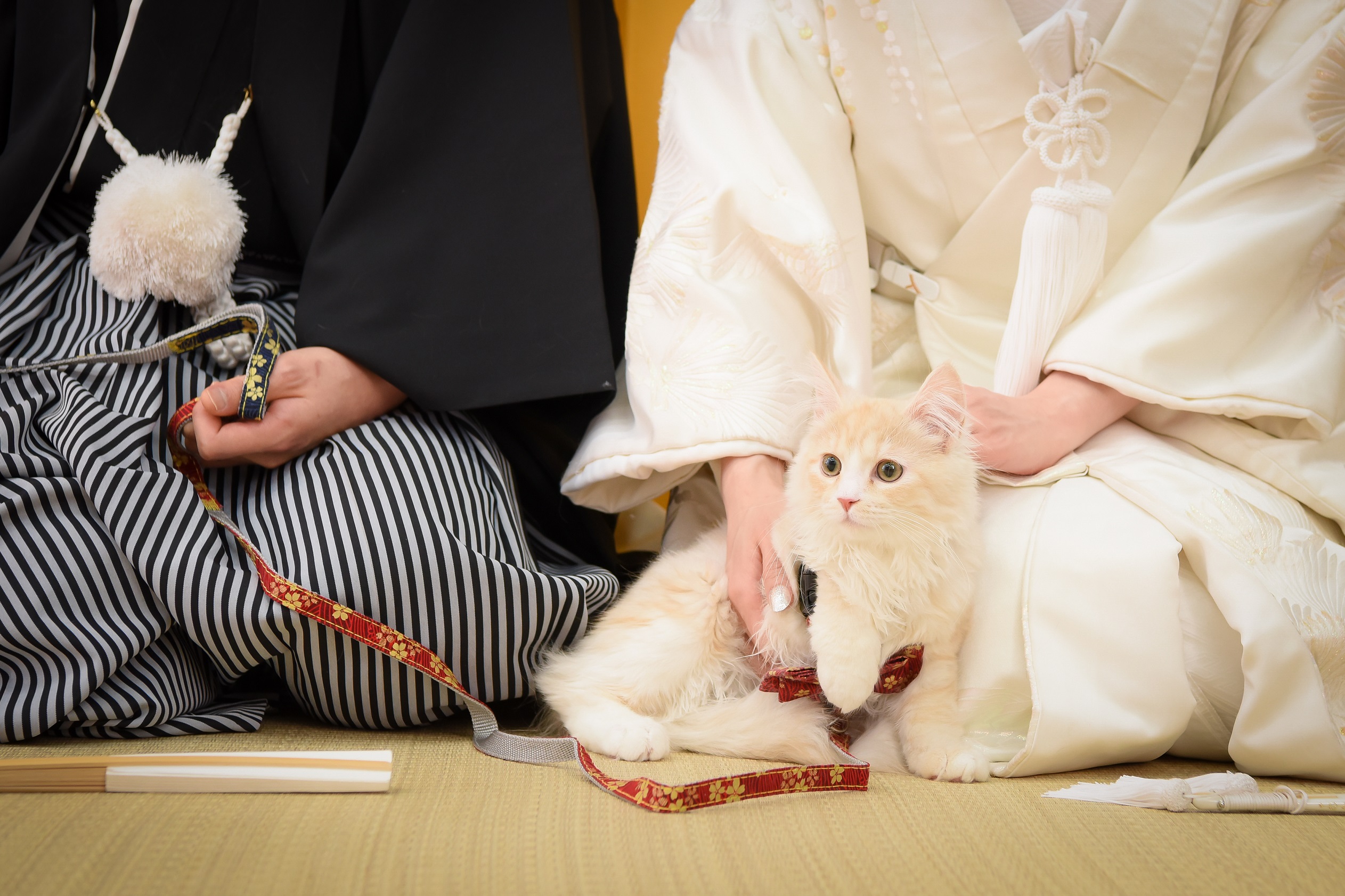 Point1 多彩な撮影シーン