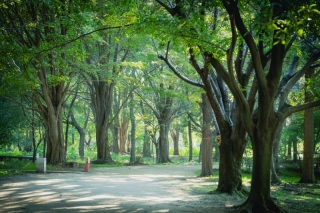 華雅苑　さいたま店_見沼自然公園