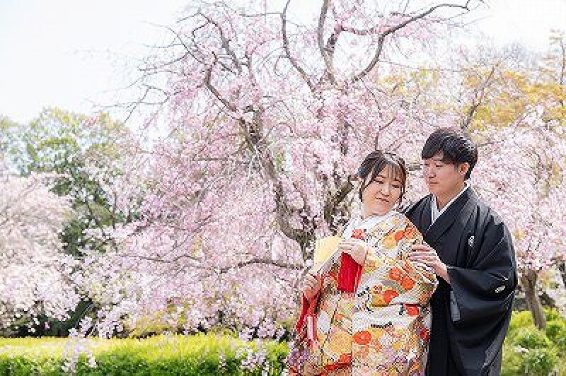 桜シーズン【3/26～4/10土日祝撮影限定】和装壱点プラン 衣装1着・データ130枚　衣装差額無し！