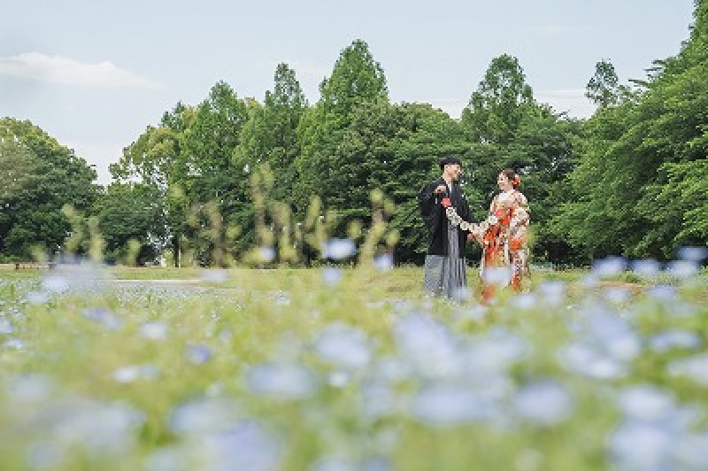 【早割】2.2万円OFF 12/16~2/15撮影 和装壱点プラン 花の丘撮影♪ 衣裳差額無土日祝無料orWBプレゼント