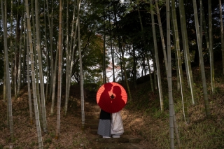 アルバムや人気オプションがプレゼントとなる特別プラン!