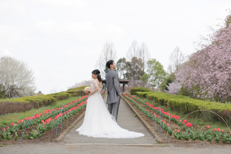 【早割】3.5万円OFF　11/25～12/15撮影　和洋弐点プラン　花の丘撮影♪　「残りわずか！先着20組限定」