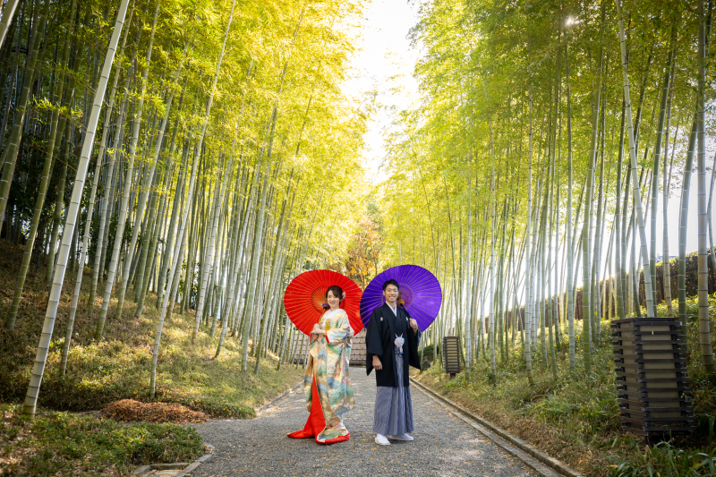 【早割】2.2万円OFF 12/16~2/15撮影 和装弐点プラン 花田苑+スタジオ撮影♪ 土日祝無料orWBプレゼント