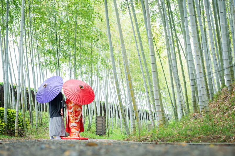 新緑シーズン【4/6~5/10撮影限定】通常143,000→123,000! 和洋弐点プラン データ230枚 衣装差額無し!