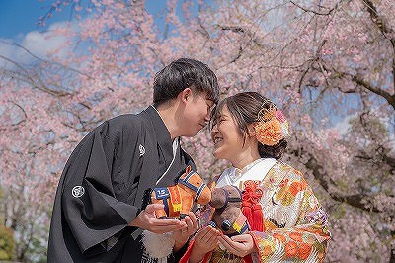 桜シーズン【3/26～4/10土日祝撮影限定】和装壱点プラン 衣装1着・データ130枚　衣装差額無し！