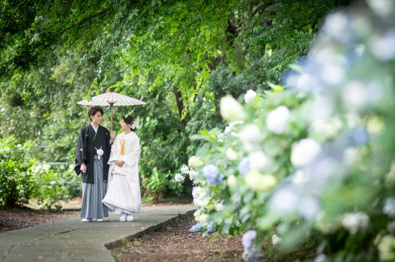 新緑シーズン【4/6~5/10撮影限定】通常121,000円→99,000円! 和装弐点プラン データ230枚 衣装差額無し!