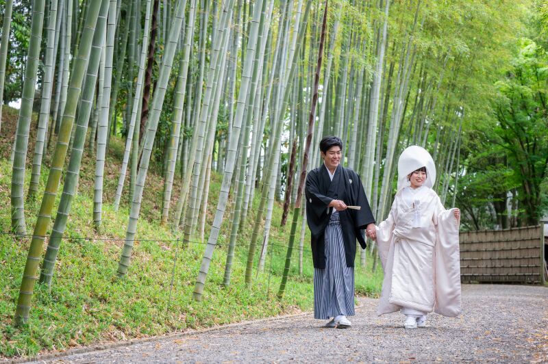 新緑シーズン【4/6~5/10撮影限定】通常110,000円→88,000円! 和装壱点プラン データ130枚 衣装差額無し!