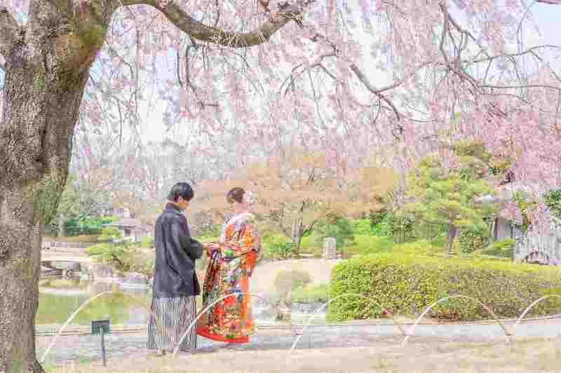 【春CP】2万円OFF！3/26～4/10撮影　和装壱点プラン　花田・市民の森・大宮第二公園♪　「残りわずか！先着20組限定　