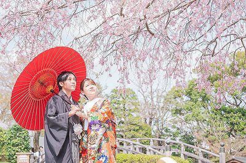 桜シーズン【3/26～4/10土日祝撮影限定】和装壱点プラン 衣装1着・データ130枚　衣装差額無し！