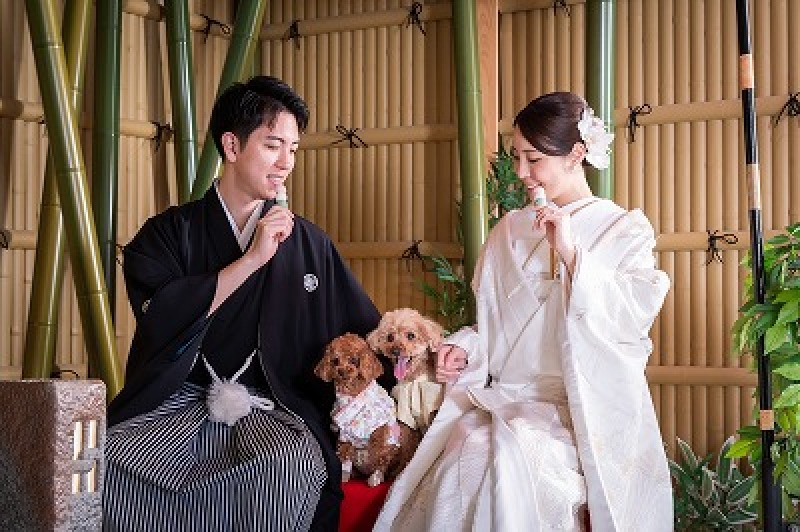 【ワンちゃんと撮影】スタジオ和装壱点プラン 衣裳差額無!ヘアメイク・データ80カット付♡