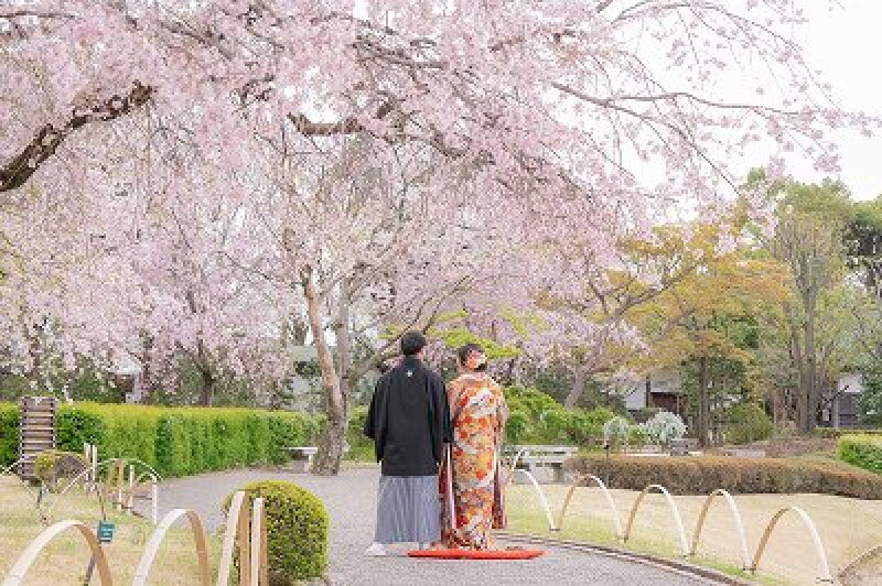 【春CP】2万円OFF！3/26～4/10撮影　和装弐点プラン　ロケ+スタジオ撮影♪　「残りわずか！先着20組限定」ペット撮影可